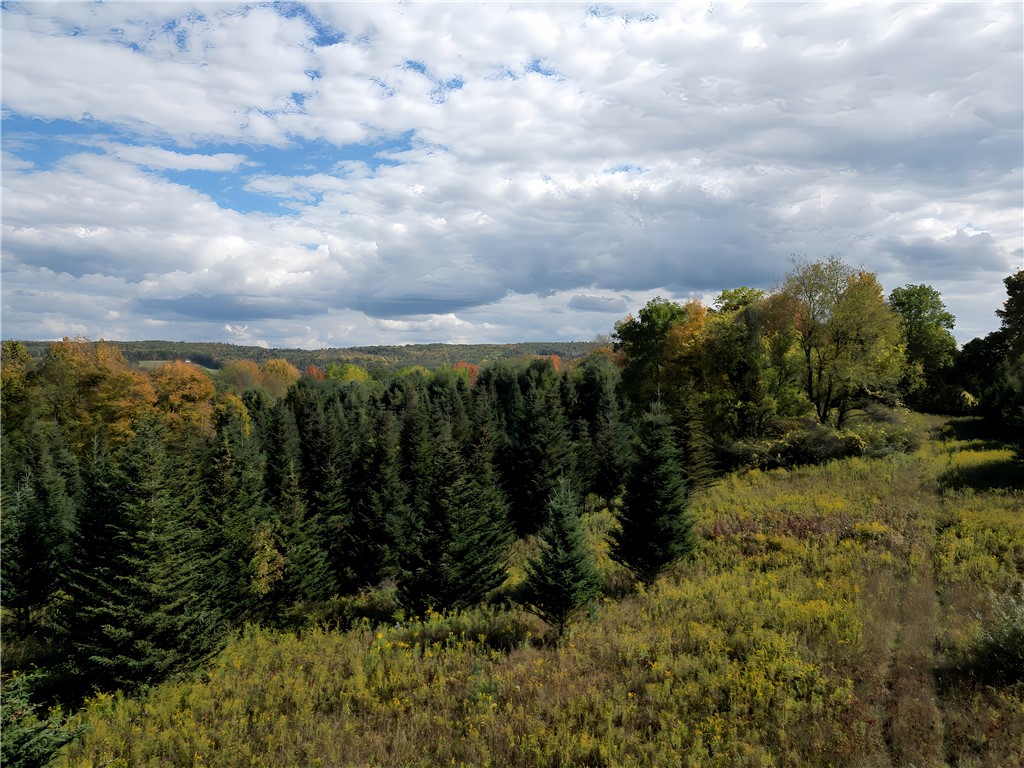 Hills Road Arkport, NY 14807 - Photo 43 of 46