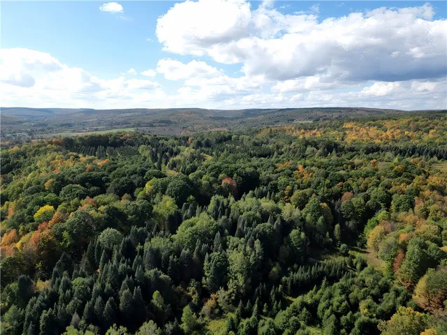 $676,000 | Hills Road, Arkport, NY 14807