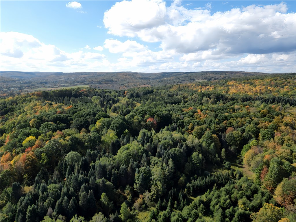 Hills Road Arkport, NY 14807 - Photo 44 of 46