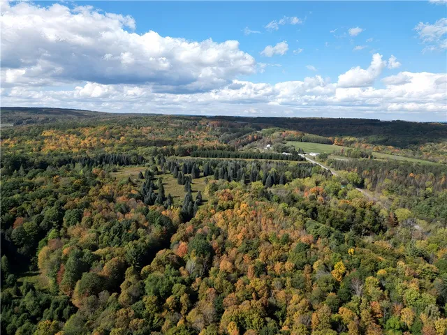 $676,000 | Hills Road, Arkport, NY 14807