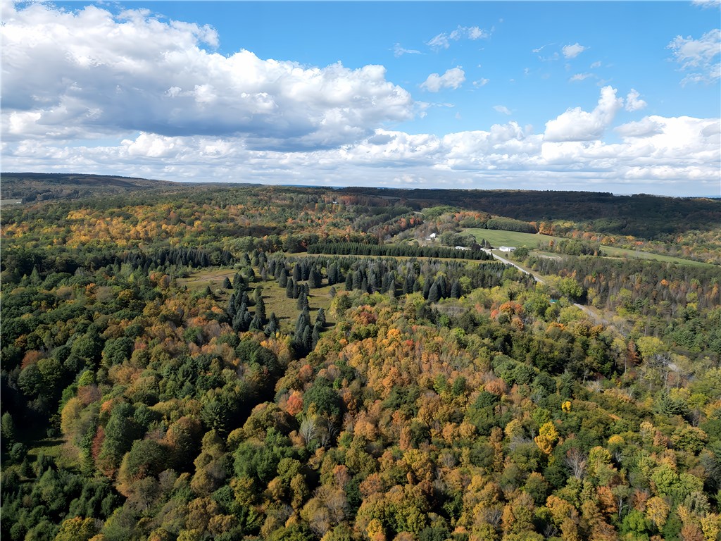 Hills Road Arkport, NY 14807 - Photo 45 of 46