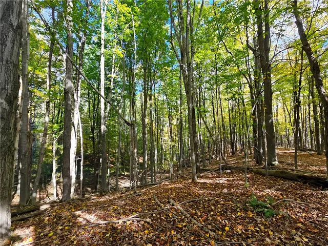 $676,000 | Hills Road, Arkport, NY 14807