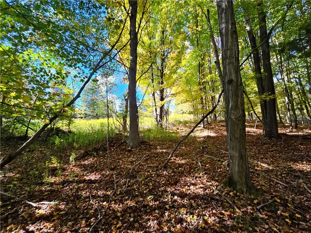 $676,000 | Hills Road, Arkport, NY 14807