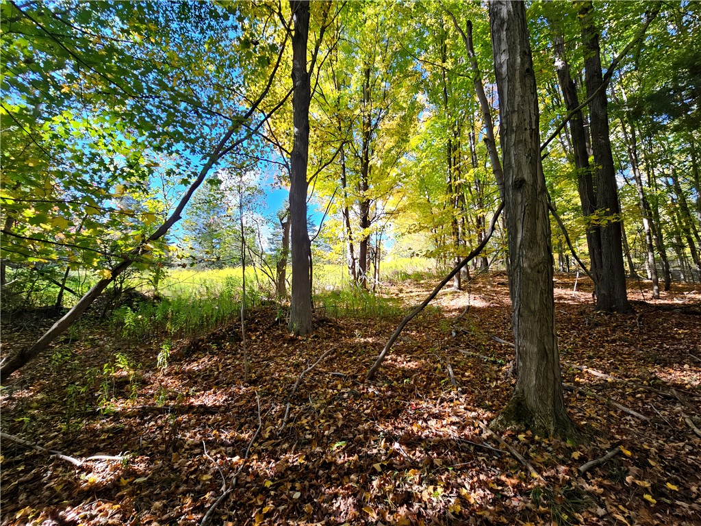 Hills Road Arkport, NY 14807 - Photo 6 of 46