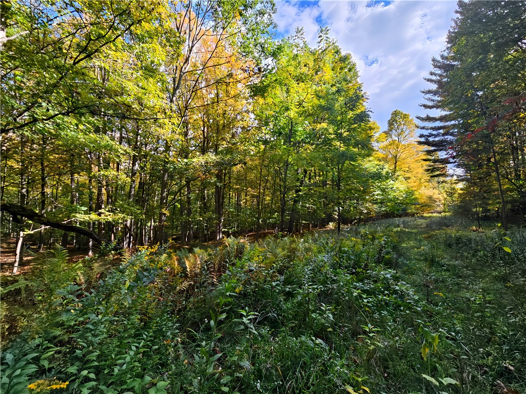 Hills Road Arkport, NY 14807 - Photo 7 of 46