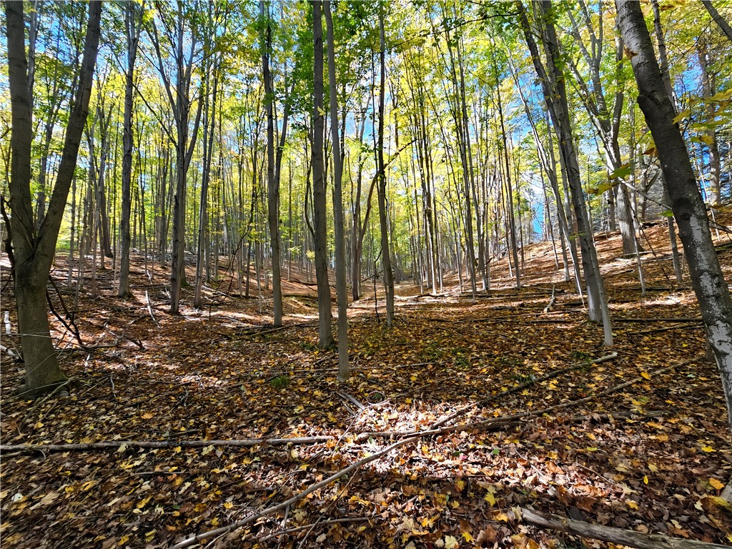 Hills Road Arkport, NY 14807 - Photo 8 of 46