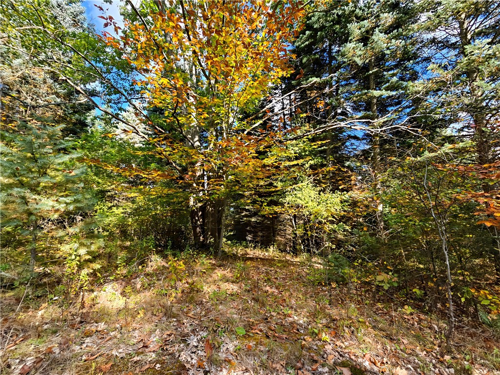 Hills Road Arkport, NY 14807 - Photo 9 of 46