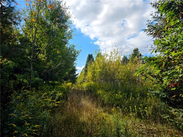 $676,000 | Hills Road, Arkport, NY 14807