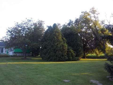 6398 East Coldwater Road Flint, MI 48506 - Photo 5 of 16 20416576-4.JPG