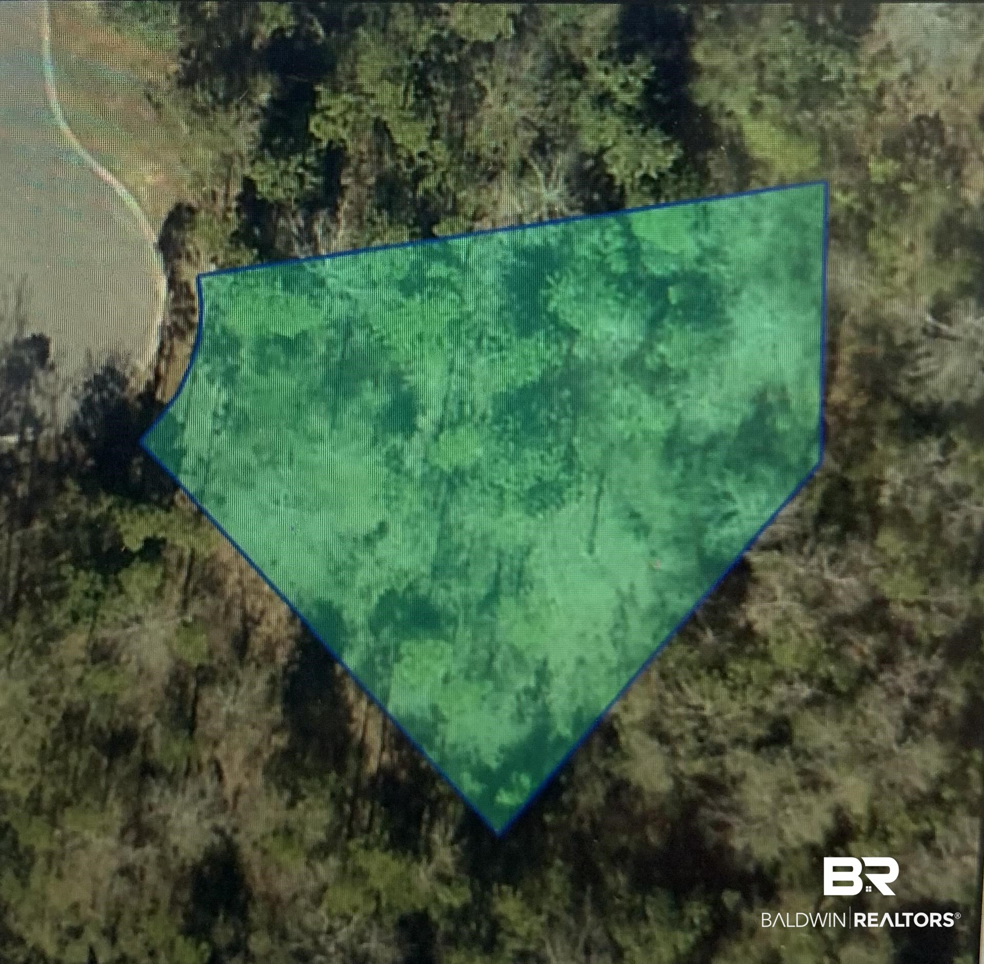 0 Cinnteal Place Daphne, AL 36527 - Photo 2 of 2 Gallery Image 2