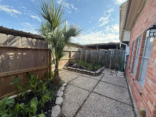 a view of backyard with potted plants and palm trees