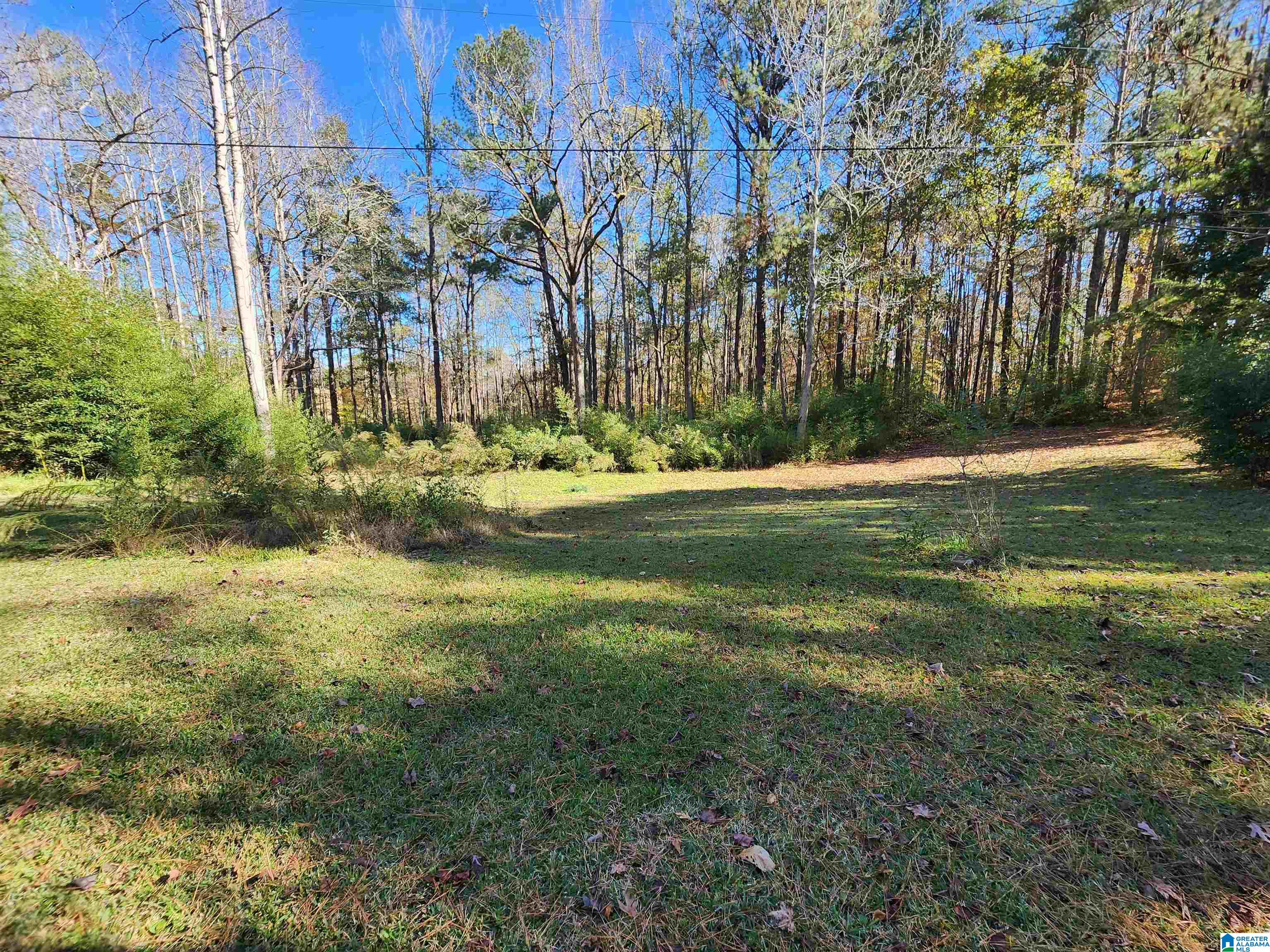 524 Raccoon Trail Goodwater, AL 35072 - Photo 8 of 21