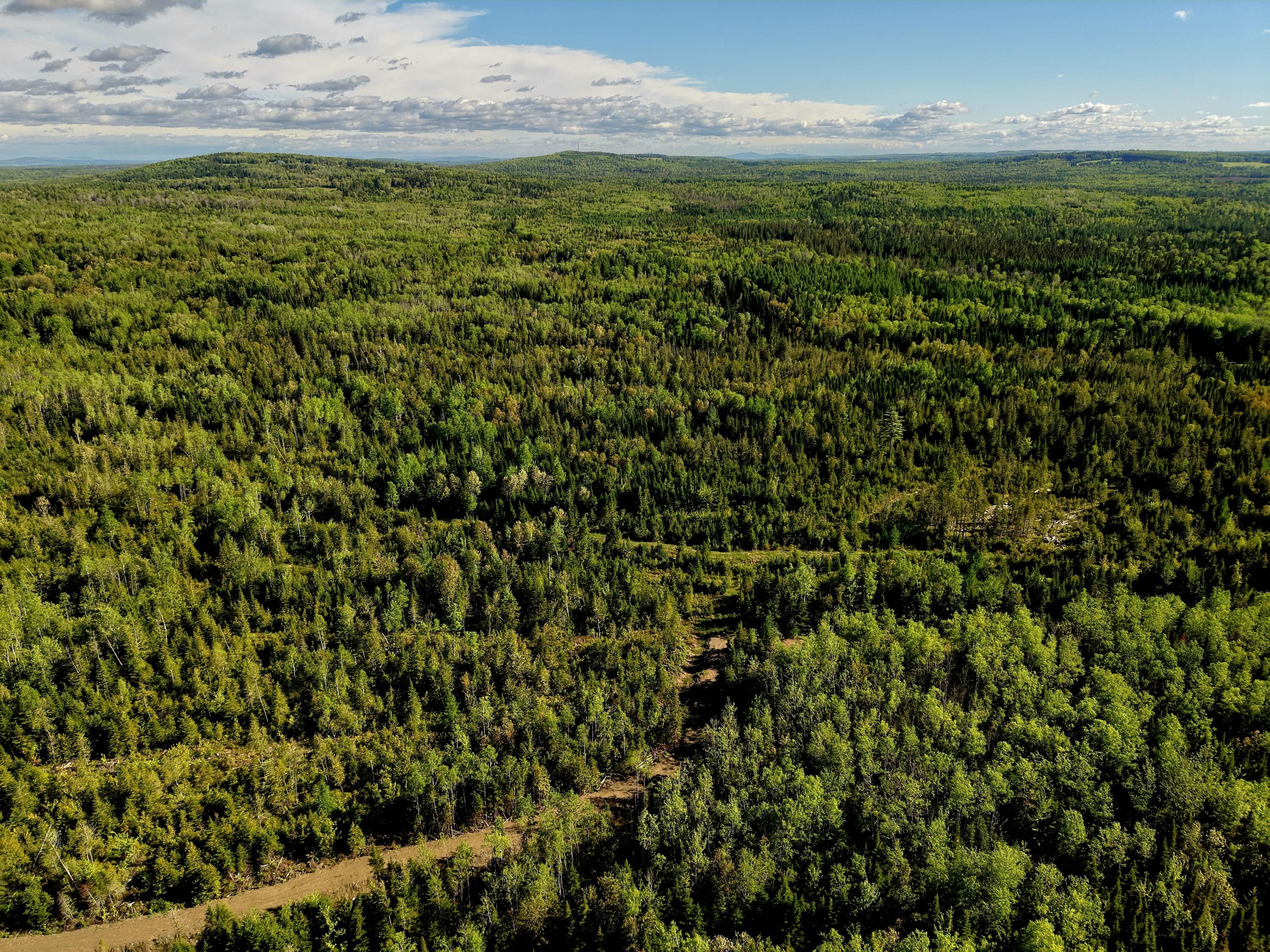 M5-l50d Rista Road New Sweden, ME 04762 - Photo 11 of 39