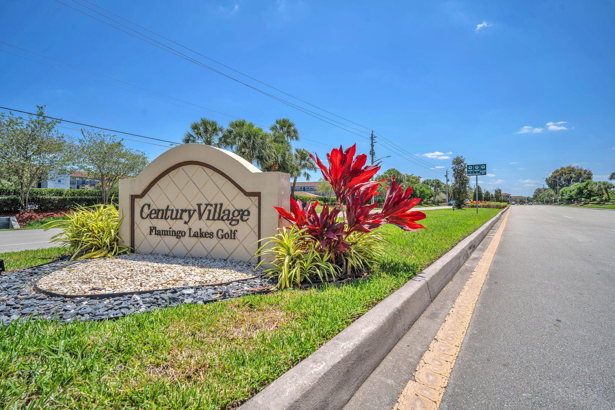 a view of a garden with a bench