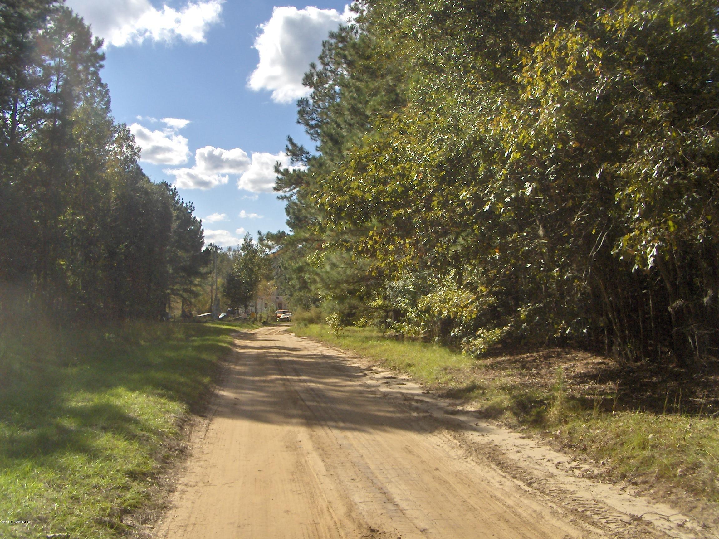 Tbd Tbd Jasper Station Ridgeland, SC 29936 - Photo 1 of 5 HPIM6741 (2)