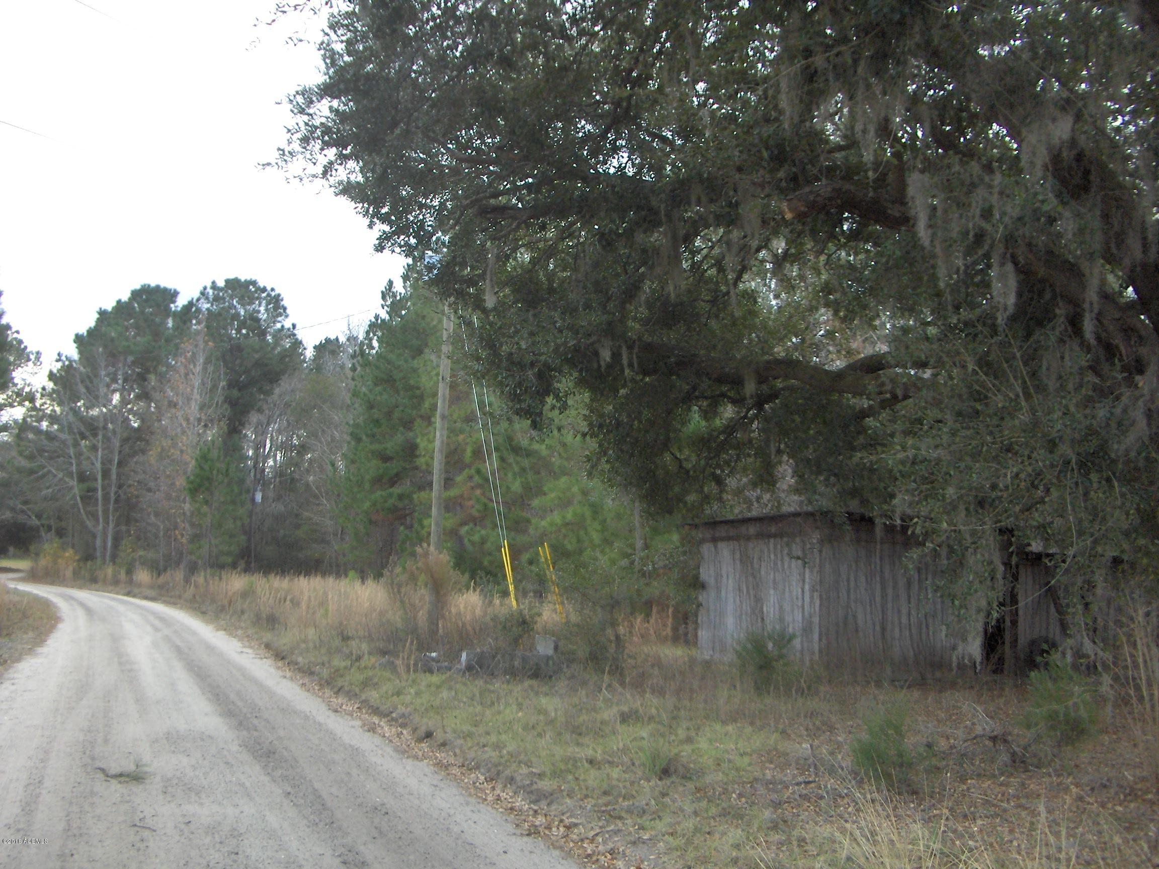 Tbd Tbd Jasper Station Ridgeland, SC 29936 - Photo 4 of 5 HPIM6809