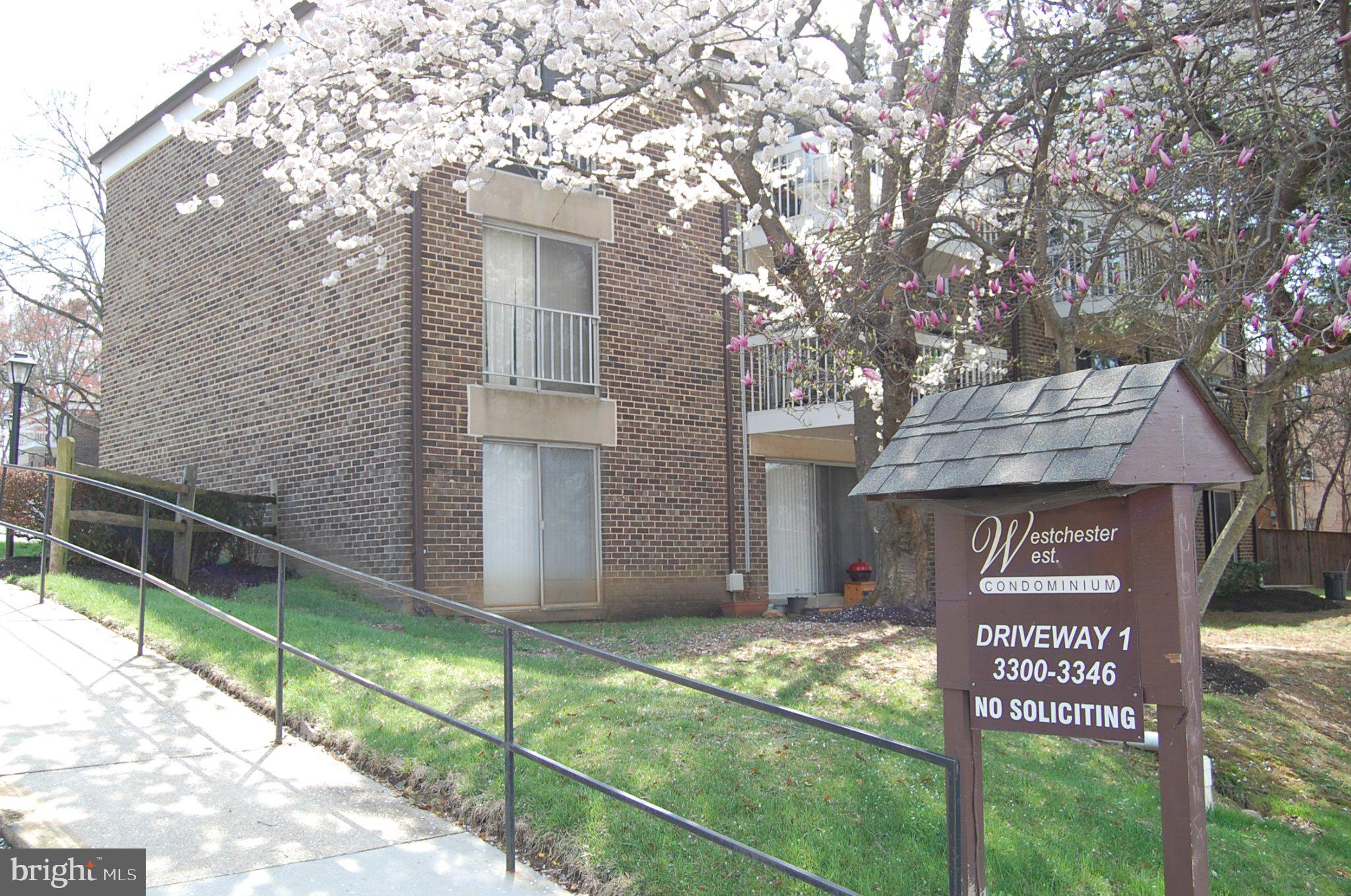3346 Hewitt Avenue, Unit 11A Silver Spring, MD 20906 - Photo 7 of 8 Charming condo with blooming trees.