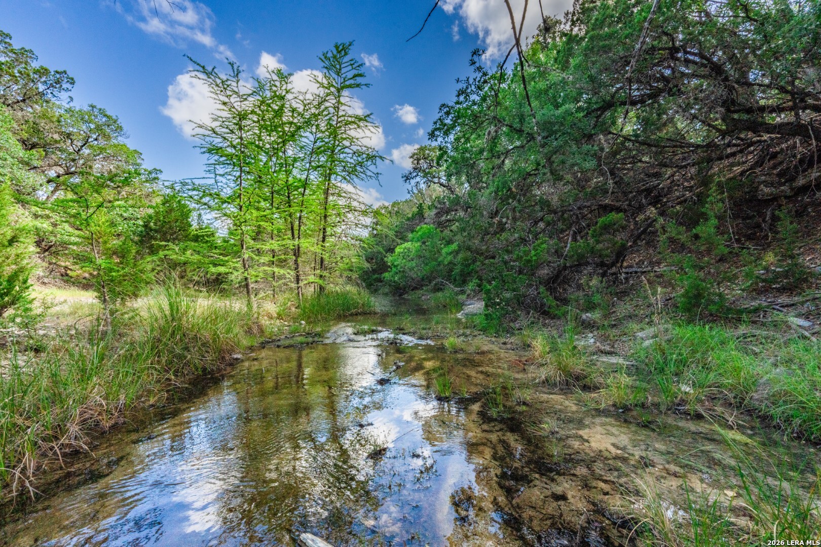 650 Evans Creek Road Vanderpool, TX 78885 - Photo 9 of 28