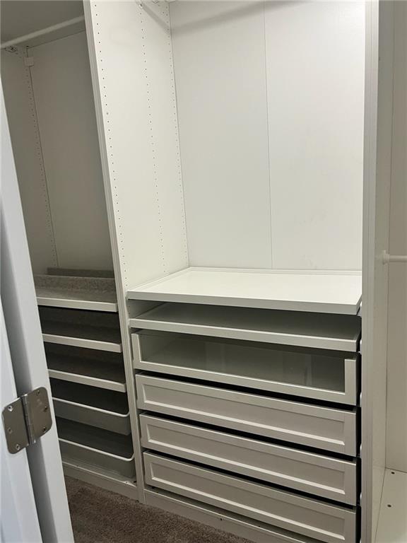 7150 Fringe Flower Drive, Unit 20 Austell, GA 30168 - Photo 4 of 41 a view of closet