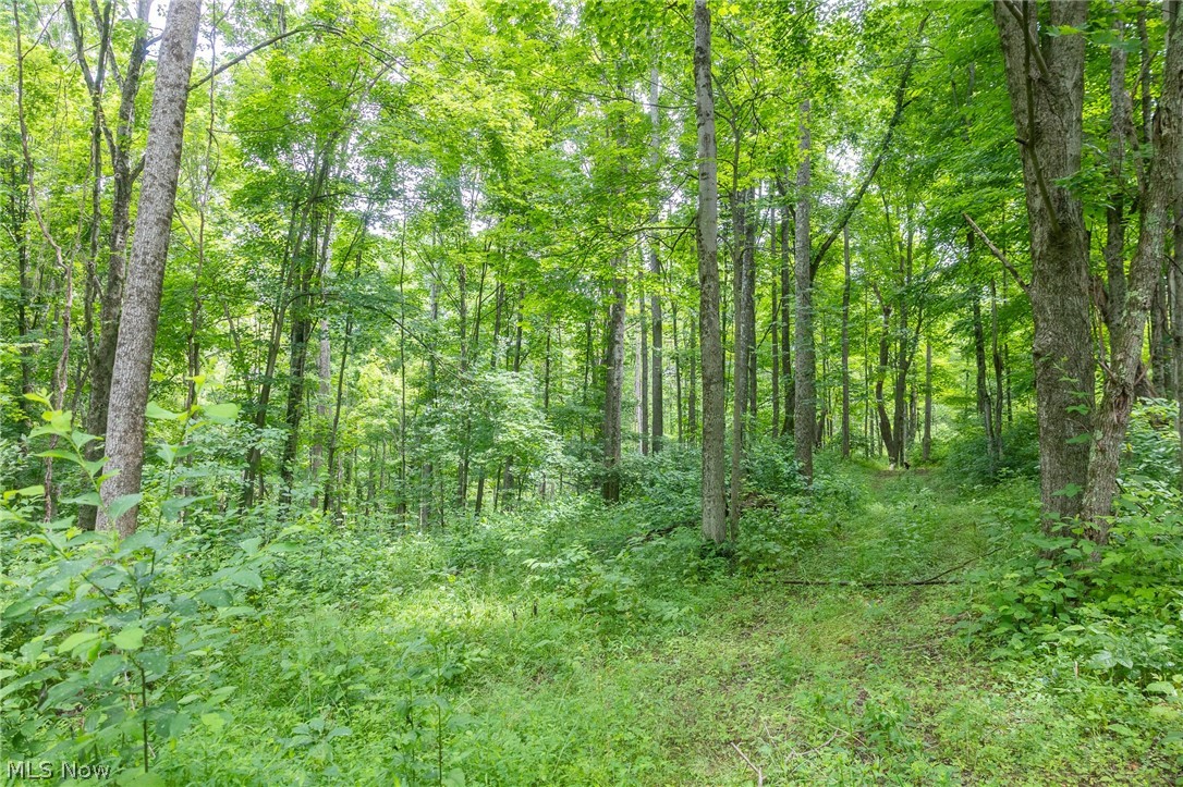 Kinnen Road Caldwell, OH 43724 - Photo 25 of 37
