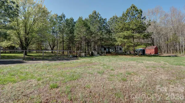 a view of backyard with large trees
