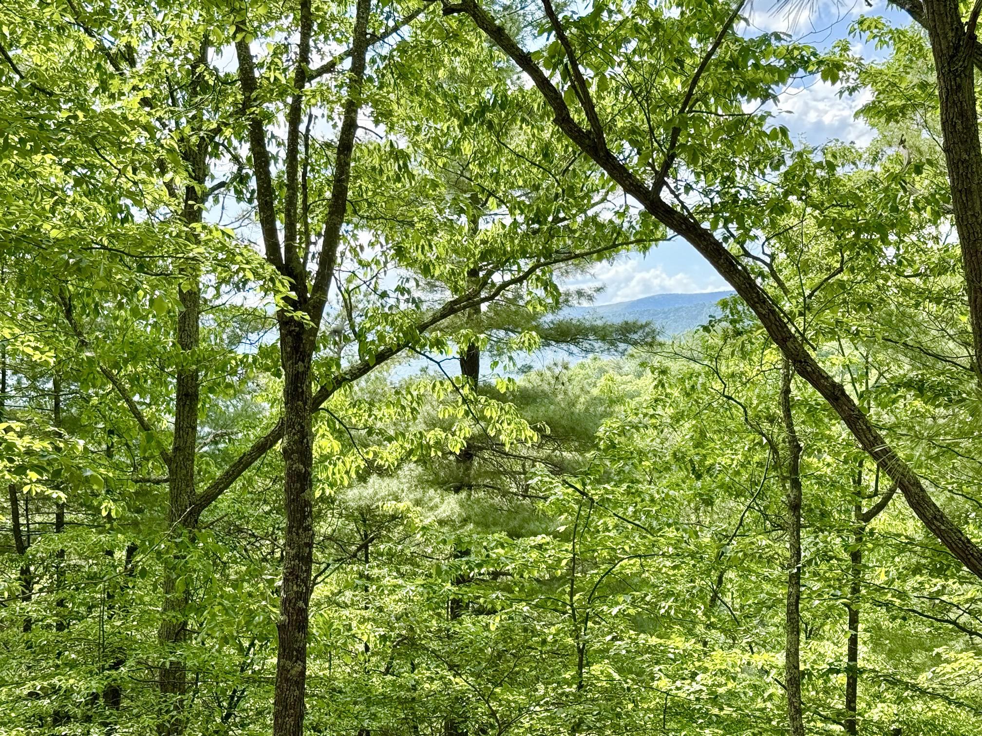 Hawks Ridge Road Franklin, WV 26807 - Photo 1 of 5