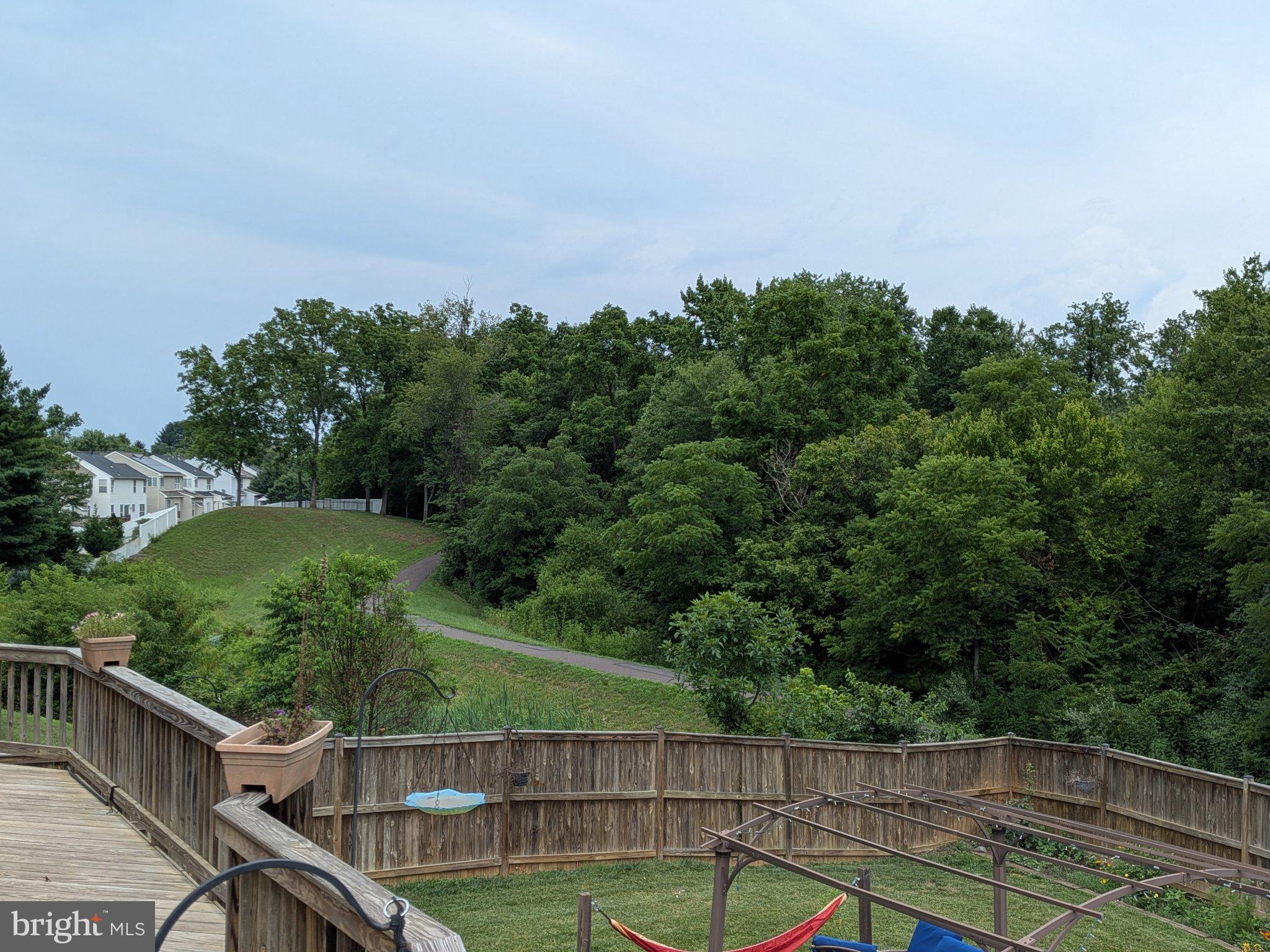 823 Woodcrest Loop Culpeper, VA 22701 - Photo 69 of 79