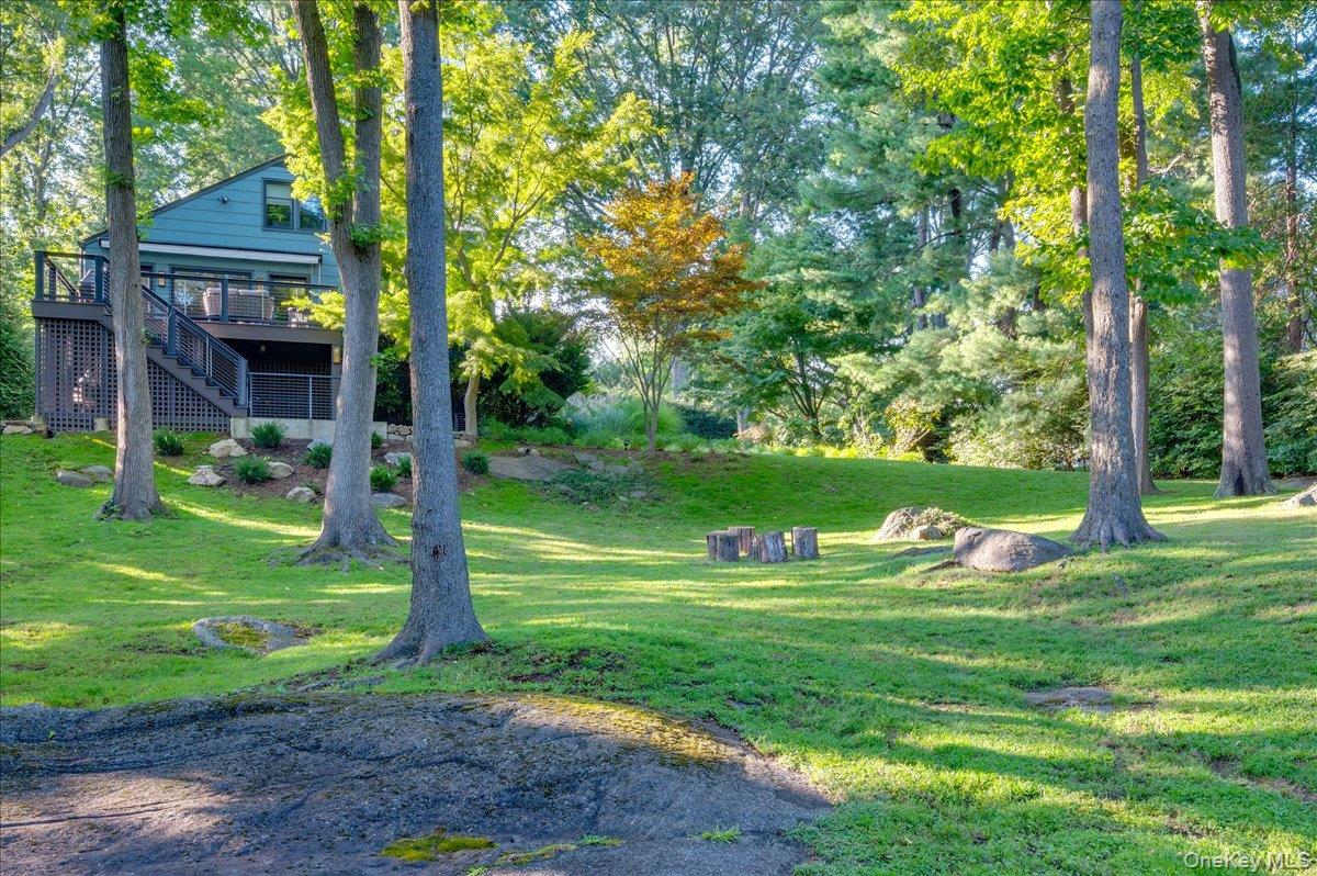 18 South Ridge Road Larchmont, NY 10538 - Photo 29 of 35 a view of a park with large trees