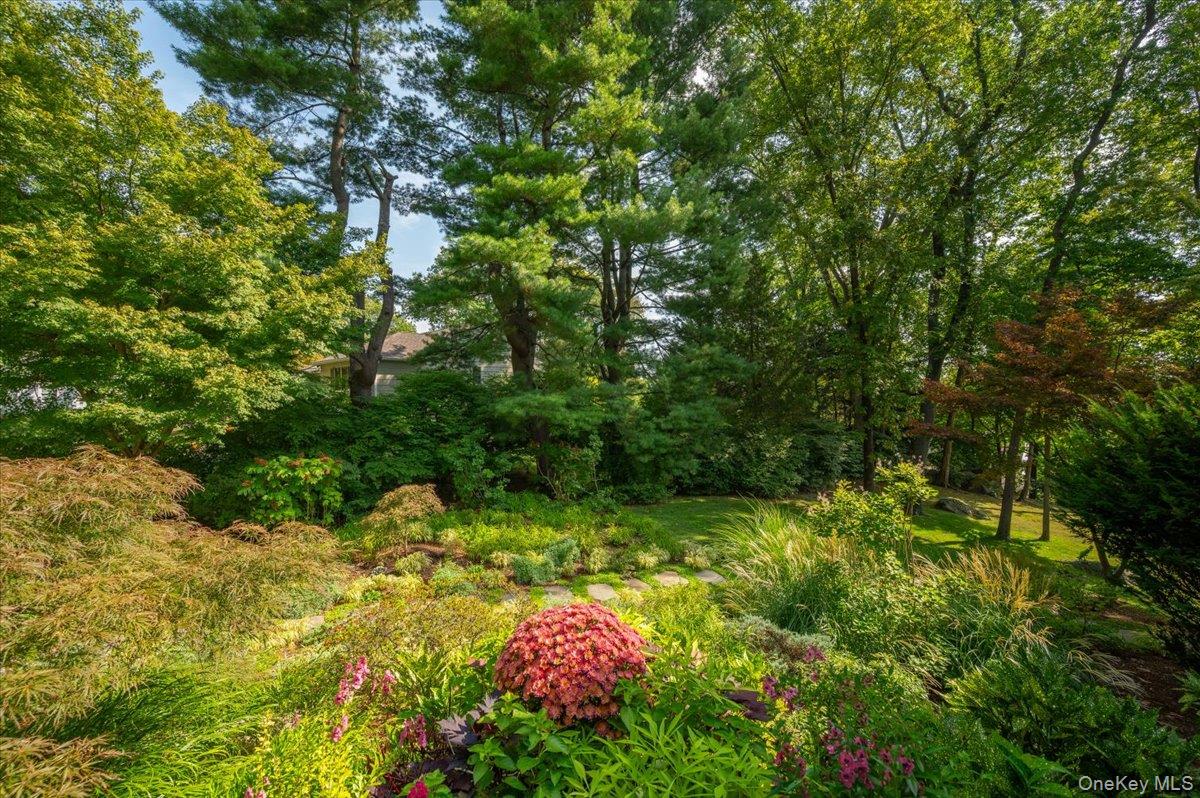 18 South Ridge Road Larchmont, NY 10538 - Photo 31 of 35 a lush green forest with lots of trees