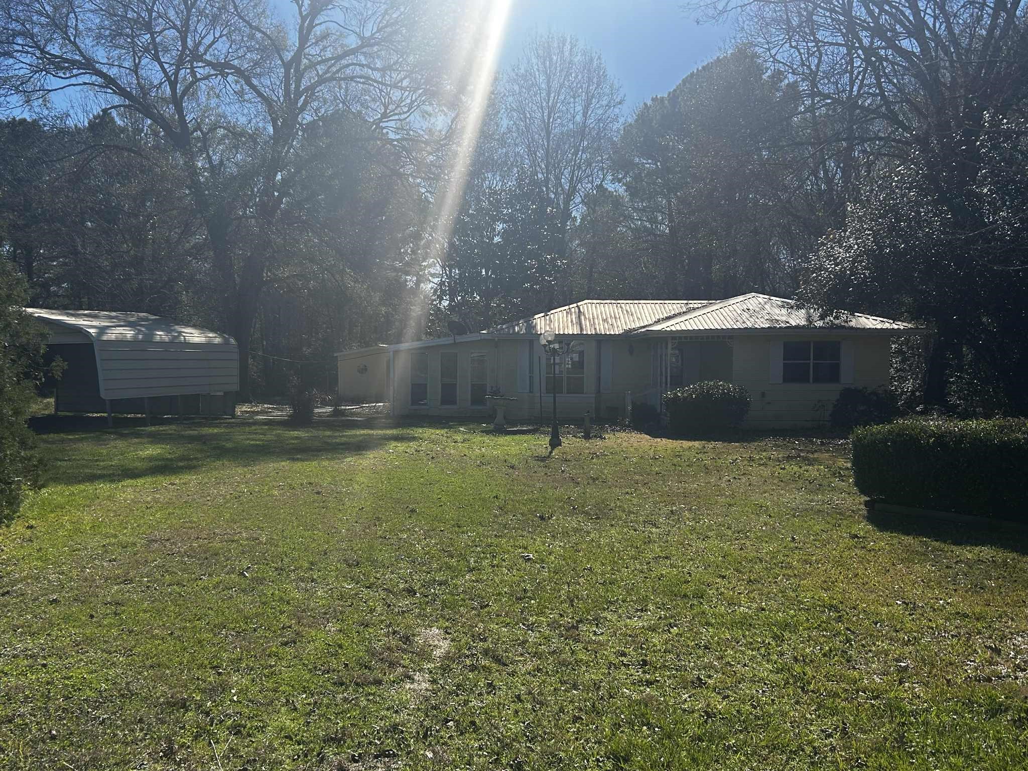 240 Boat Launch Road Point Blank, TX 77364 - Photo 3 of 11 a view of a backyard