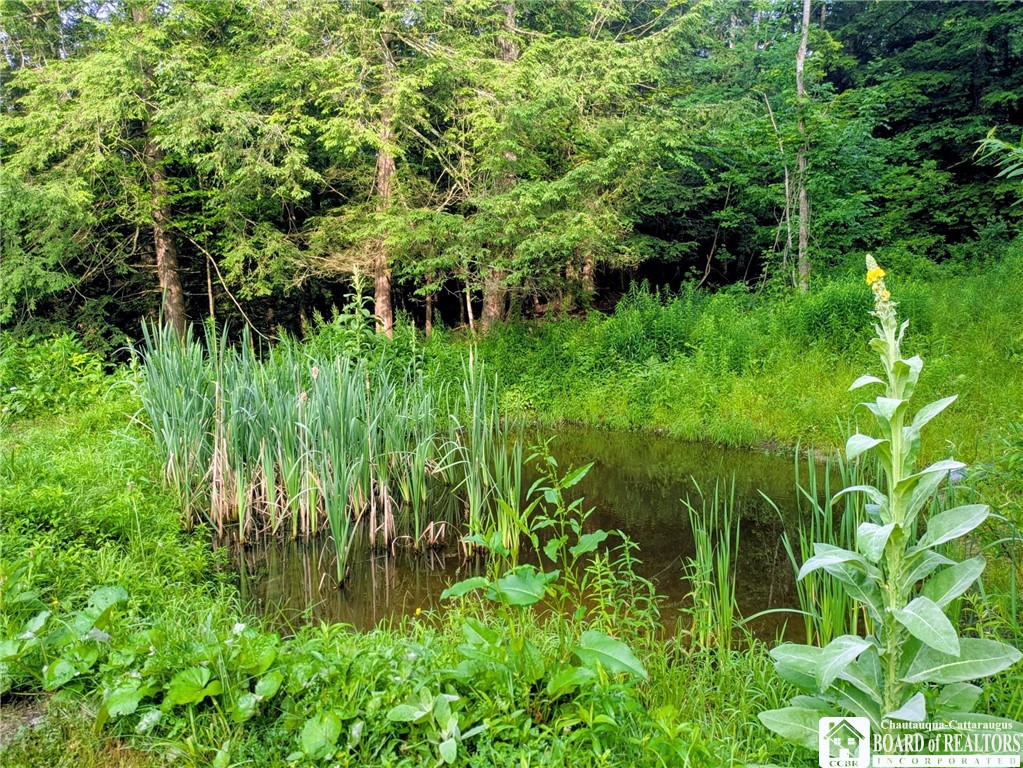 1186 28th Creek Road Ellington, NY 14747 - Photo 11 of 22
