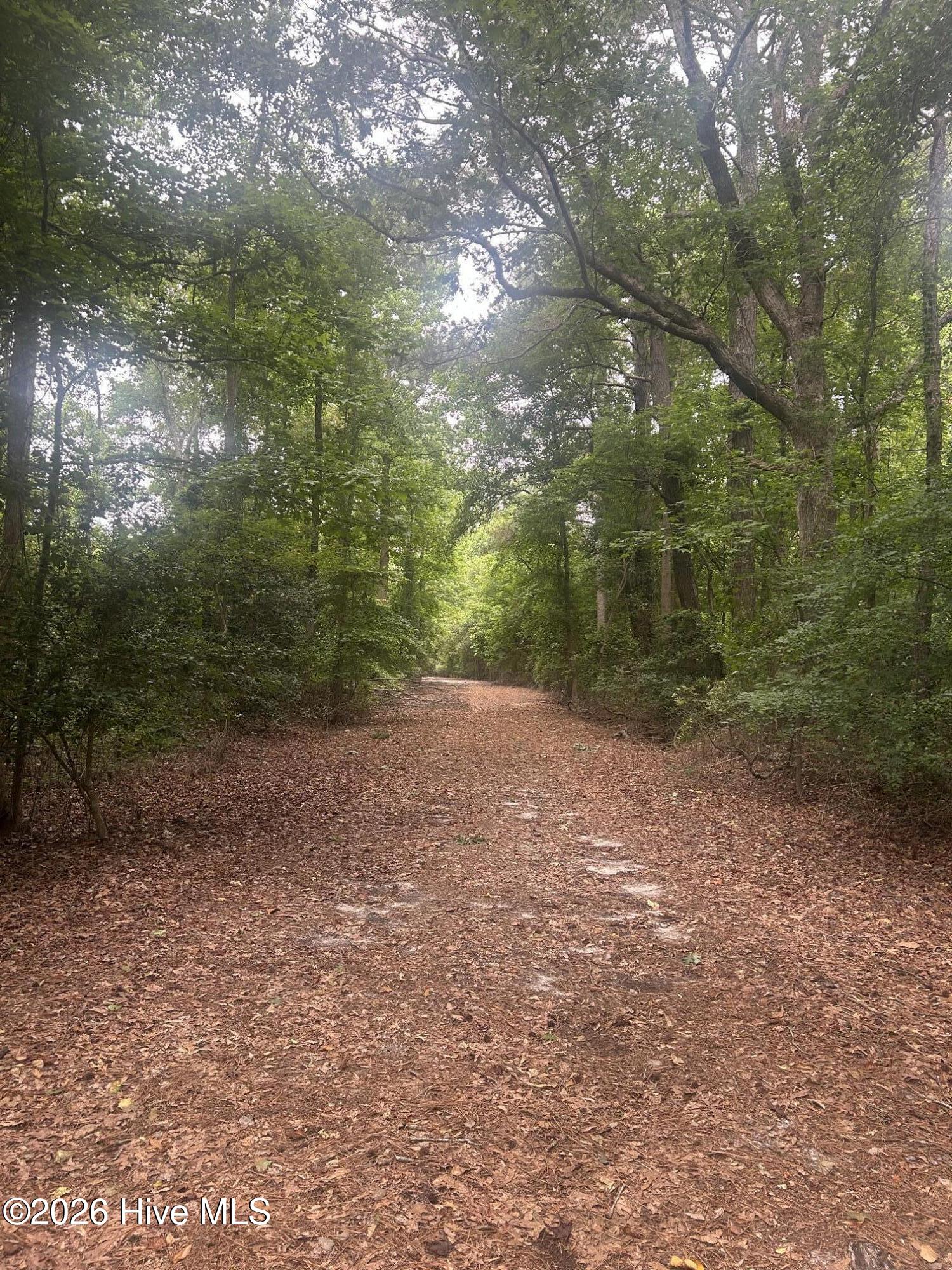 Tbd Oliver Carlton Road Warsaw, NC 28398 - Photo 6 of 15