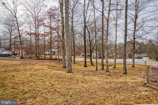 a view of road with trees