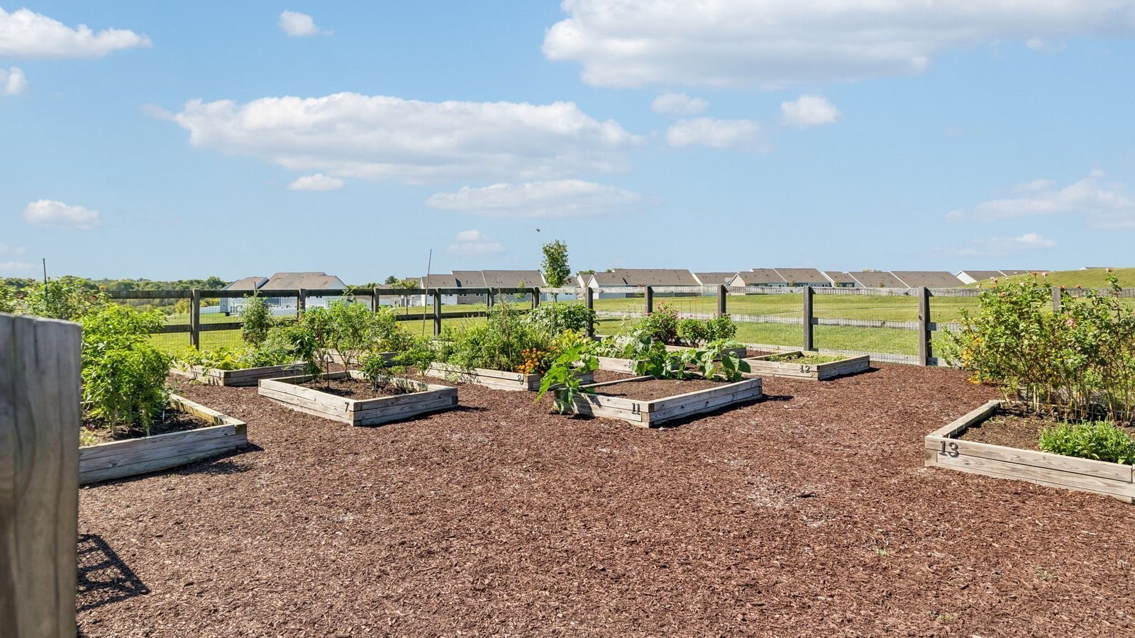 299 Harvest Point Boulevard Spring Hill, TN 37174 - Photo 22 of 48 a view of a garden with lawn chairs and a barbeque