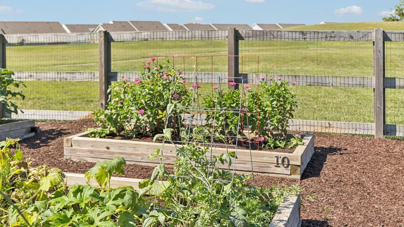 299 Harvest Point Boulevard Spring Hill, TN 37174 - Photo 26 of 48 a view of a garden with an outdoor seating