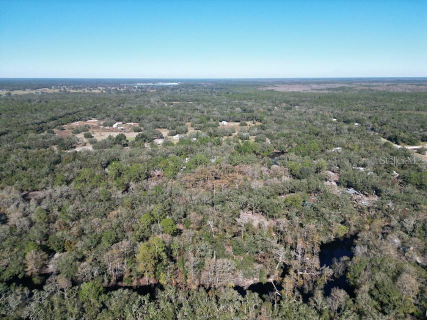 39716 Tworut Road Webster, FL 33597 - Photo 35 of 36
