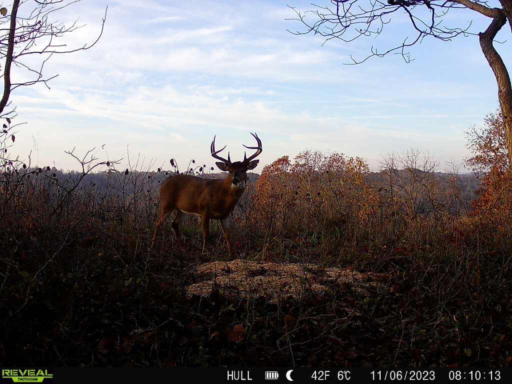 1101 Hull Road, Unit TRACT 9 WOODS WAYNE FOREST) Patriot, OH 45658 - Photo 6 of 61 6