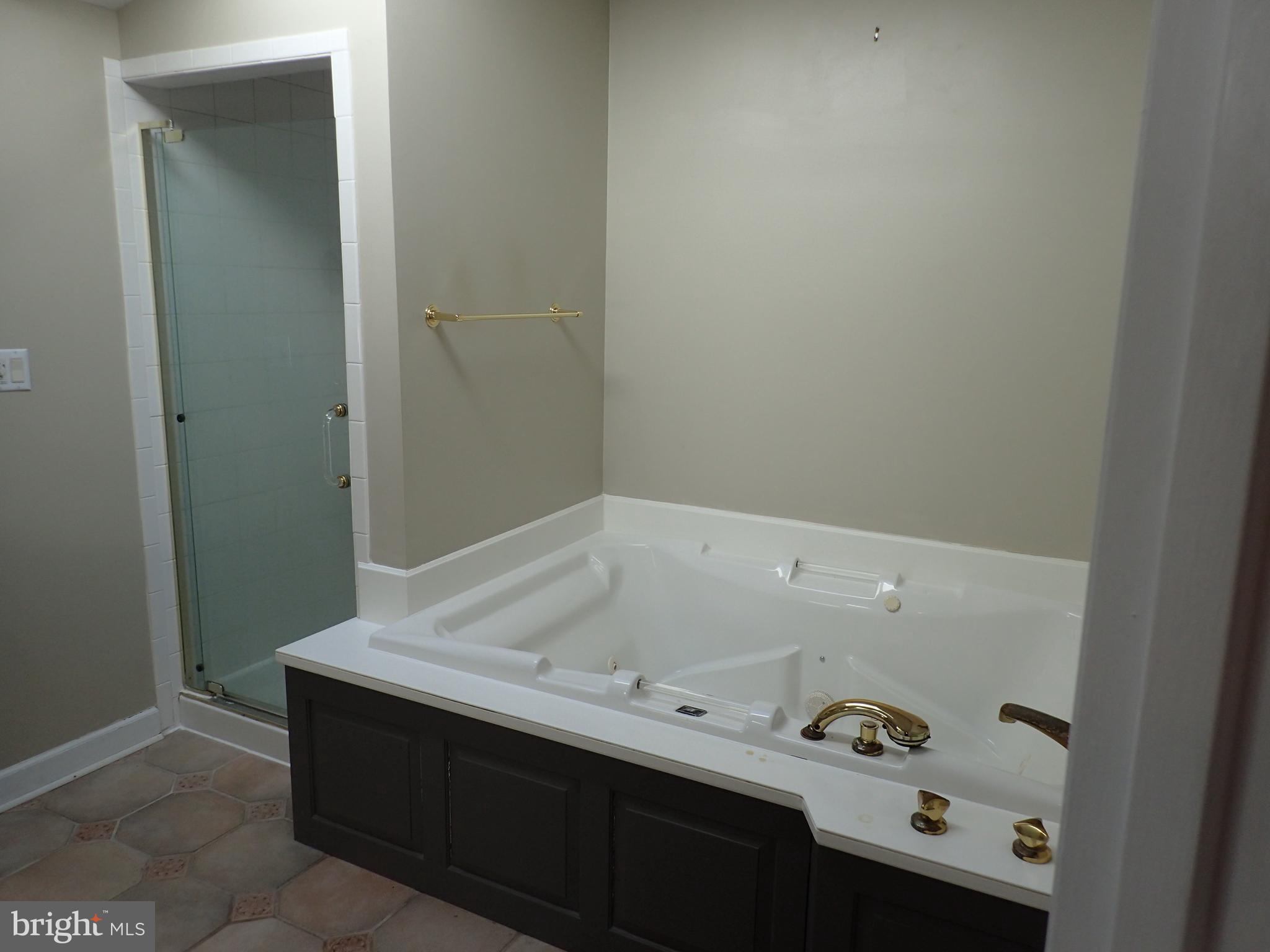 19728 Longmeadow Road Hagerstown, MD 21742 - Photo 21 of 28 2nd Floor Master Bath