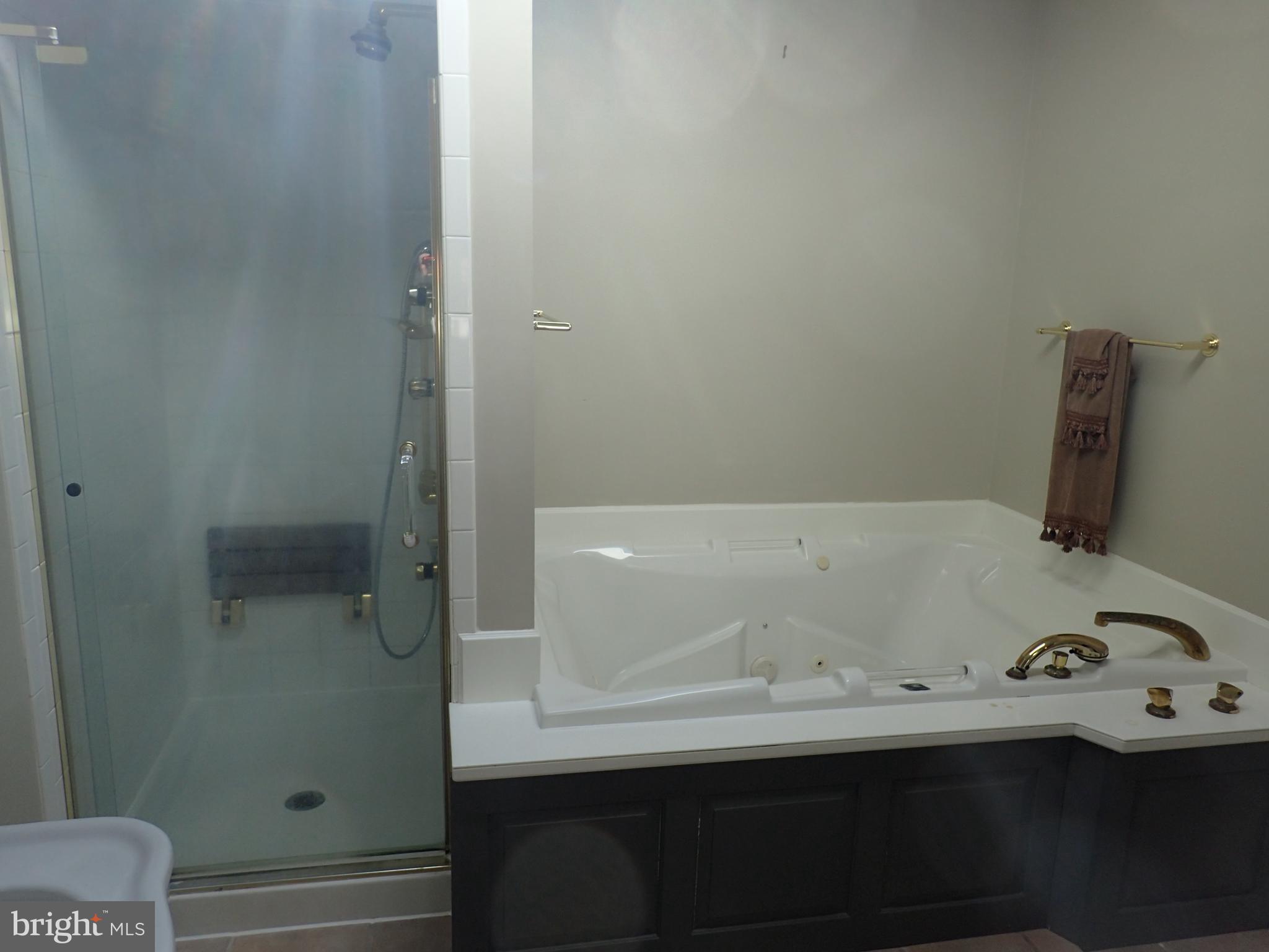 19728 Longmeadow Road Hagerstown, MD 21742 - Photo 22 of 28 2nd Floor Master Bath