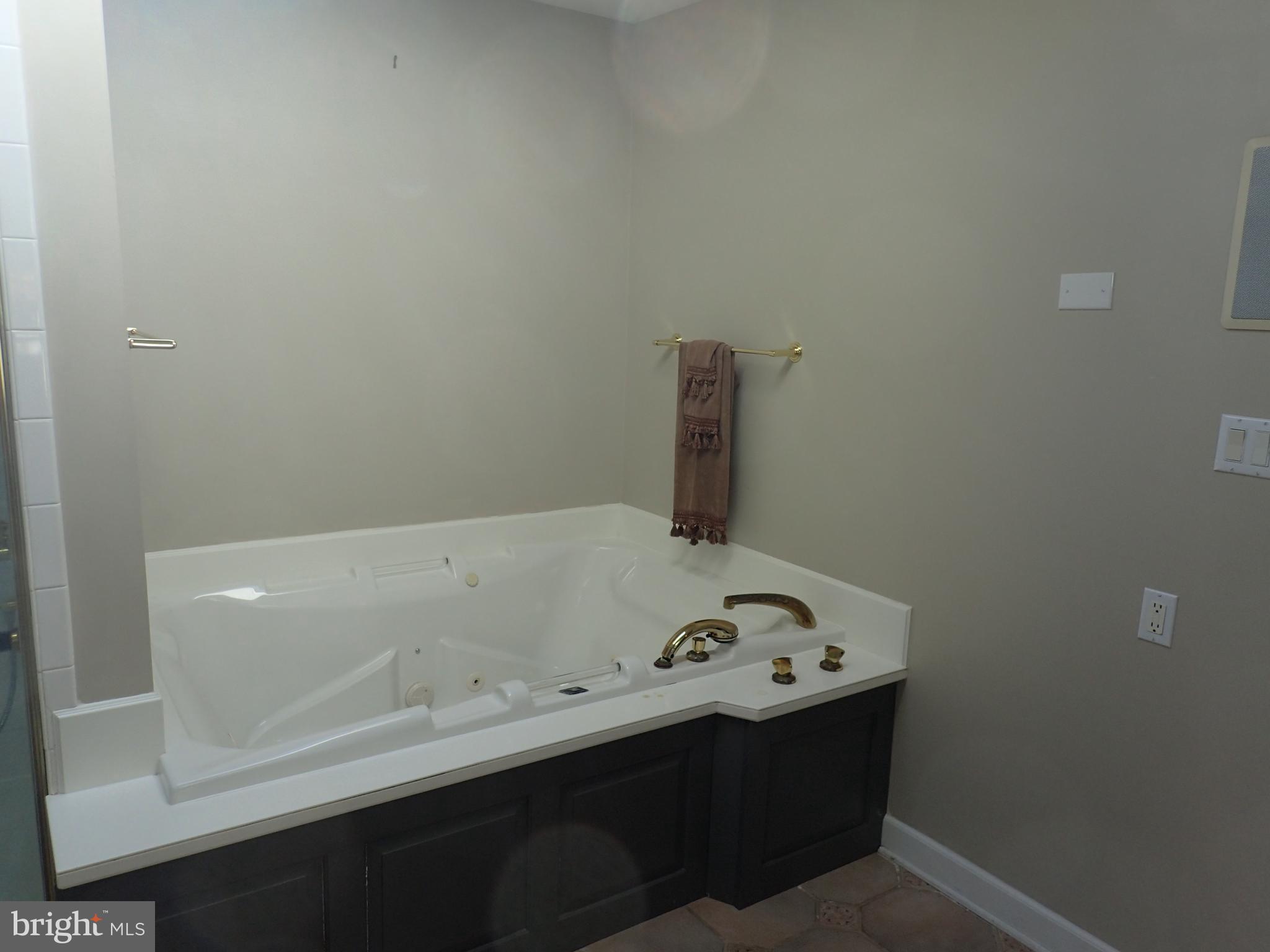 19728 Longmeadow Road Hagerstown, MD 21742 - Photo 23 of 28 2nd Floor Master Bath