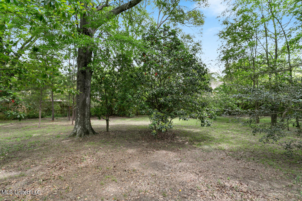 4640 Jiggetts Road Jackson, MS 39211 - Photo 6 of 31 4640 Jiggets2-25