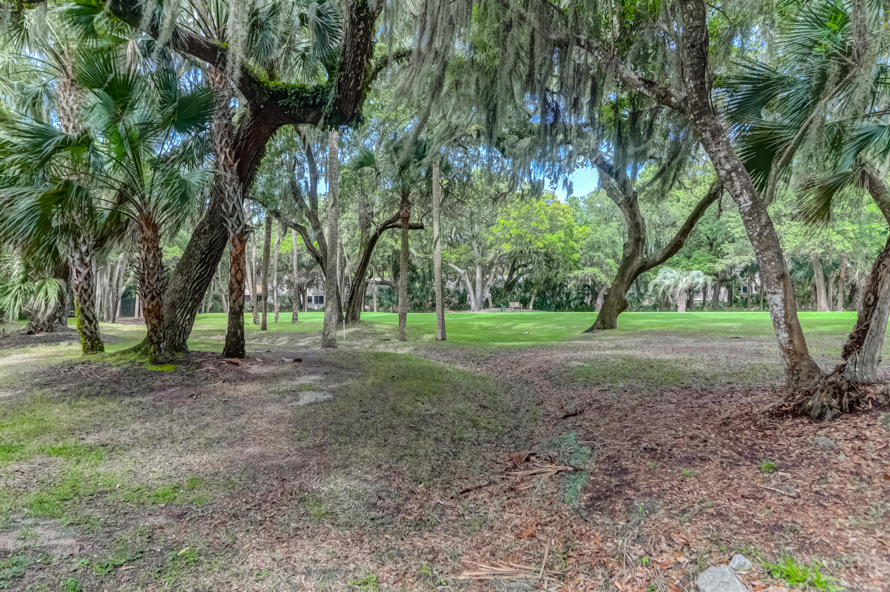 190 High Hammock Road Seabrook Island, SC 29455 - Photo 9 of 26 190 High Hammock -Tidalcreekphoto- (5)