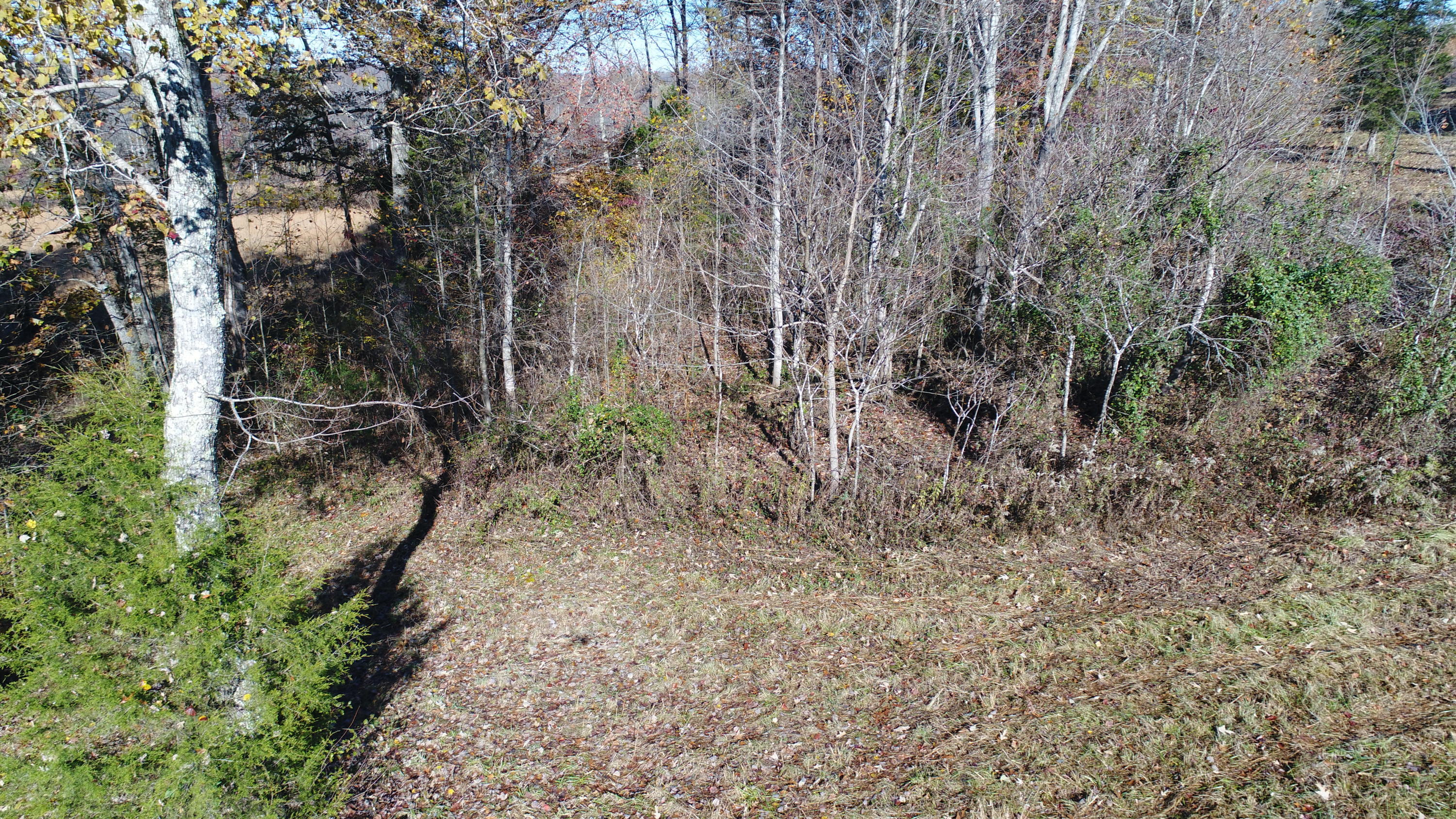 201 Goodhope Church Road Eubank, KY 42567 - Photo 18 of 28 DJI_0972