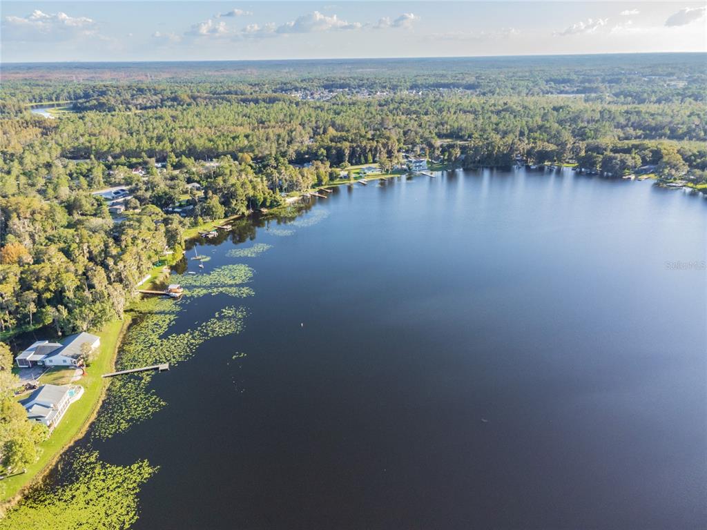 Davista New Port Richey, FL 34654 - Photo 10 of 21