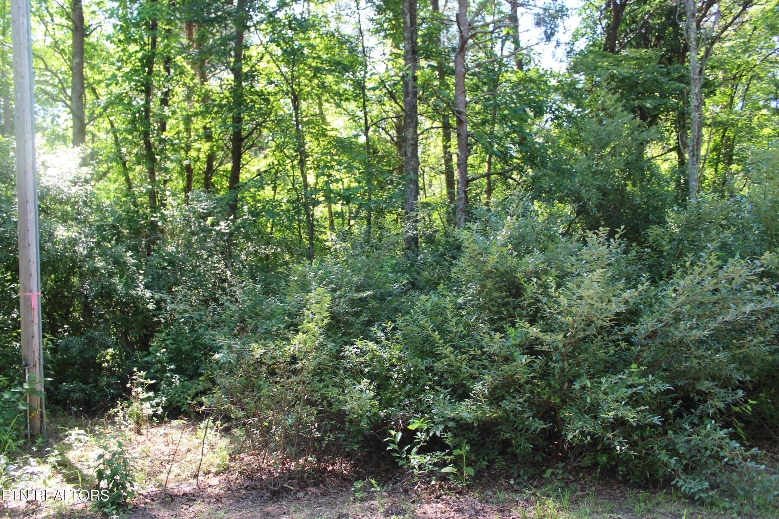 Goney Road Grimsley, TN 38565 - Photo 1 of 8 036