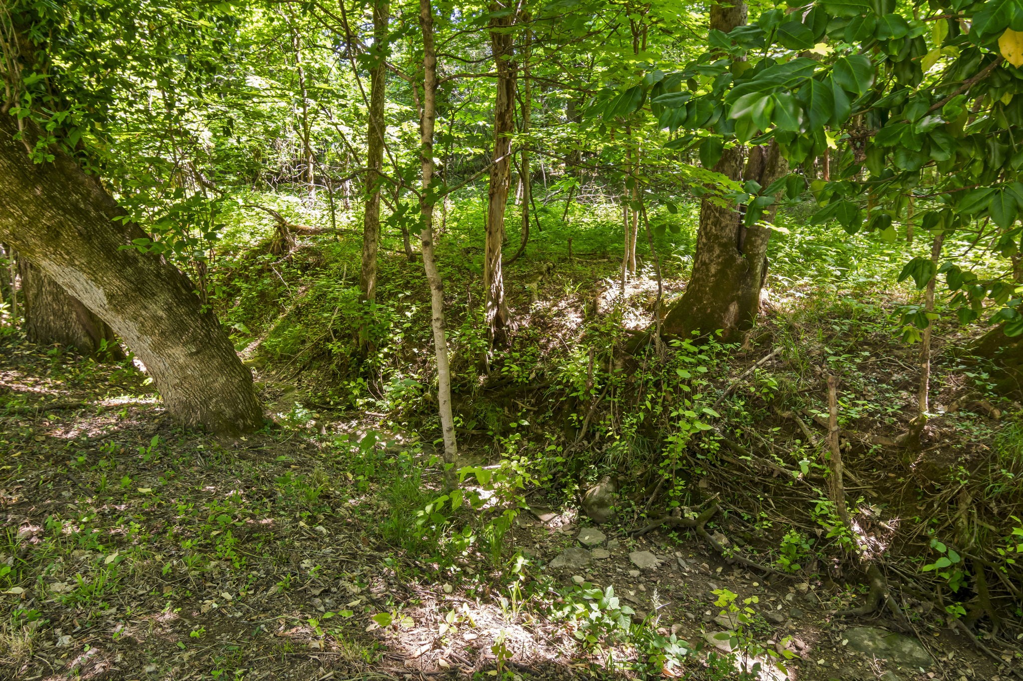 1985 Frank Moore Road Culleoka, TN 38451 - Photo 50 of 68 Gallery Image 50