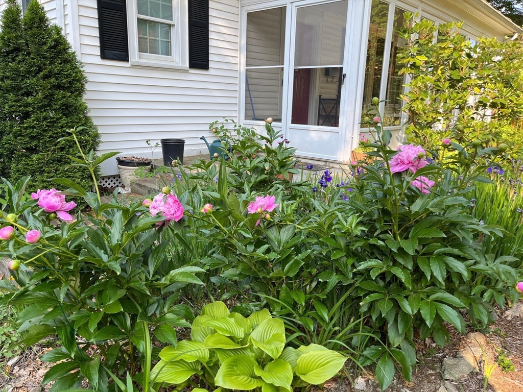 21 Howe Street Wellesley, MA 02482 - Photo 31 of 35
