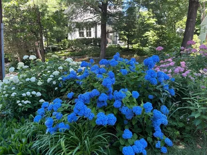 $1,599,000 | 21 Howe Street, Wellesley, MA 02482