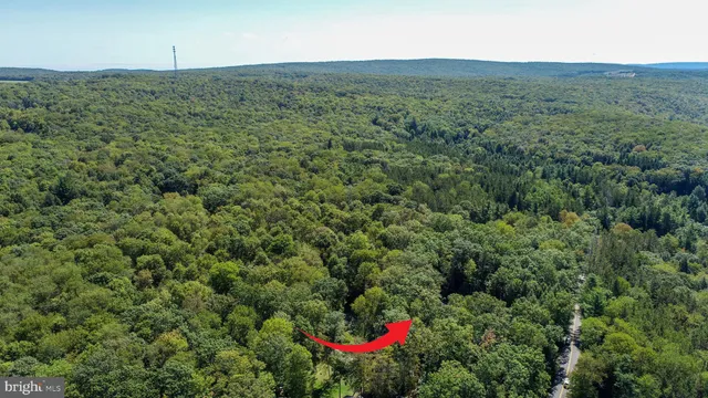 a view of a lush green field