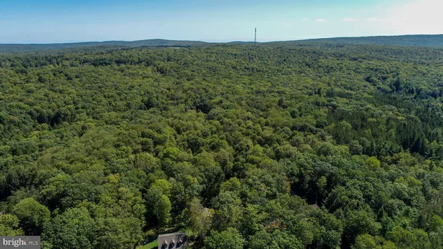 an aerial view of residential houses with outdoor space and trees